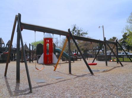 Reaves Park Swing Set